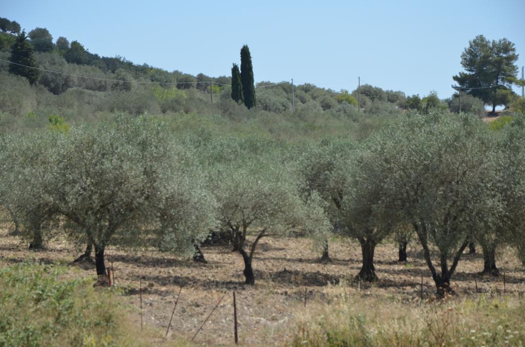 Le Case Di S. Andrea Buccheri エクステリア 写真
